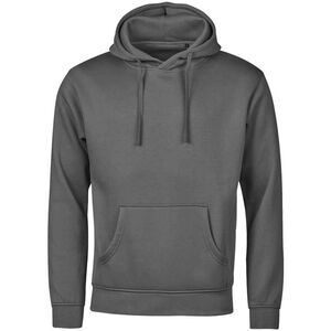 Tee Jays Unisex Adult Urban Hoodie / Powder Grey